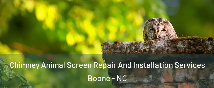  Chimney Animal Screen Repair And Installation Services Boone - NC
