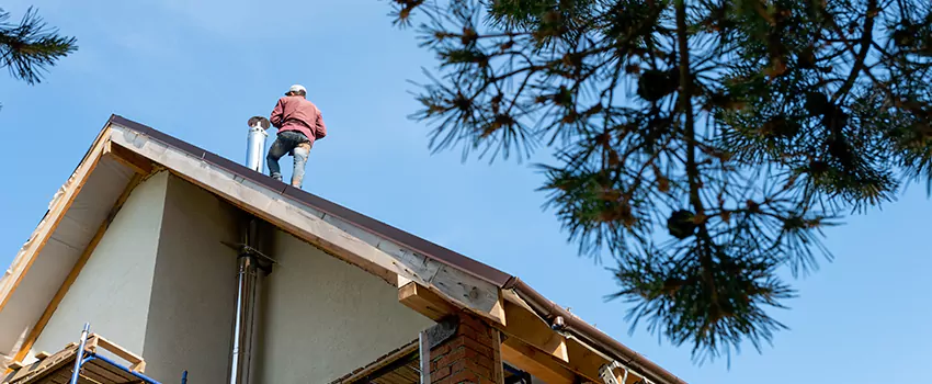 Birds Removal Contractors from Chimney in Boone, NC