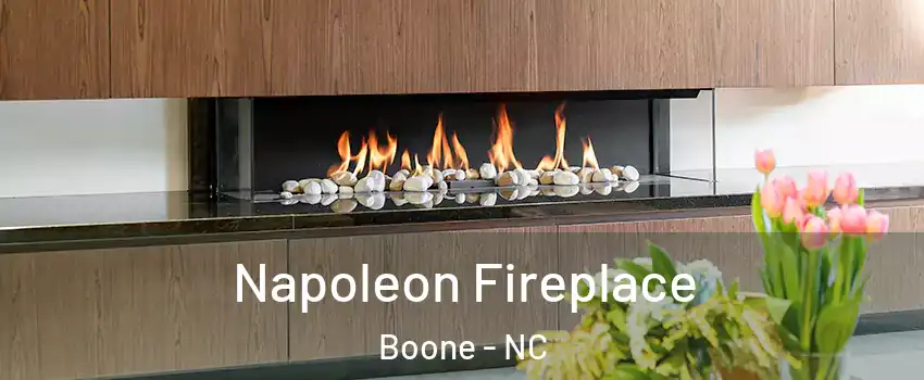  Napoleon Fireplace Boone - NC