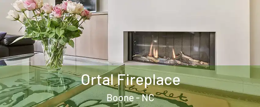 Ortal Fireplace Boone - NC